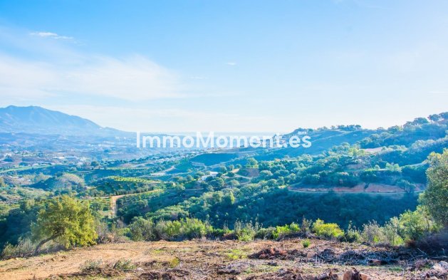 Construction neuve - Maison de campagne - Marbella - La Mairena