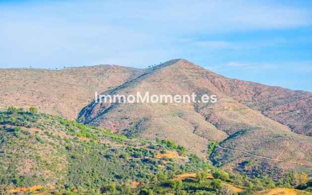 Construction neuve - Maison de campagne - Marbella - La Mairena