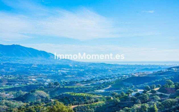 Construction neuve - Maison de campagne - Marbella - La Mairena