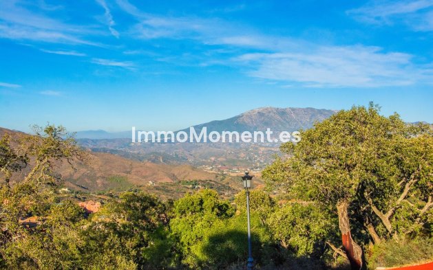 Neubau - Villa - Marbella - La Mairena