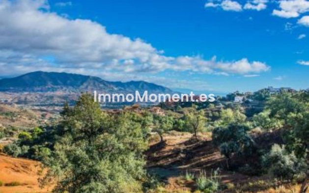 Construction neuve - Villa - Marbella - La Mairena