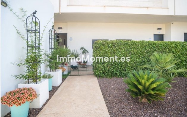 Revente - Appartement - Pilar de la Horadada - Pilar de la Horadada Centro
