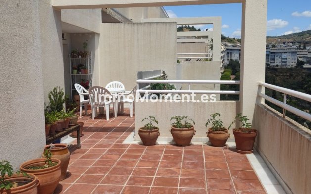 Reventa - Apartamento - Málaga - Limonar