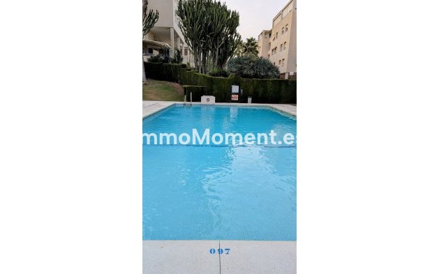 Reventa - Apartamento - Málaga - Limonar