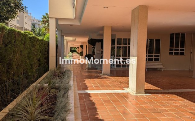 Reventa - Apartamento - Málaga - Limonar