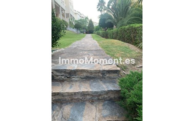 Reventa - Apartamento - Málaga - Limonar