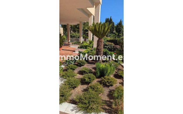 Reventa - Apartamento - Málaga - Limonar