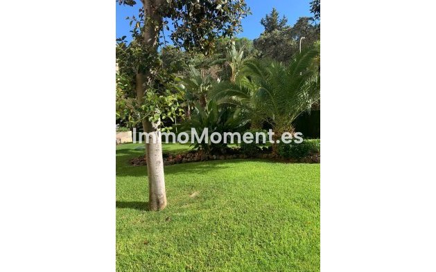 Reventa - Apartamento - Málaga - Limonar