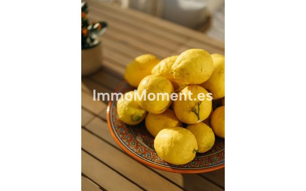 Revente - Maison mitoyenne - Estepona  - Atalaya