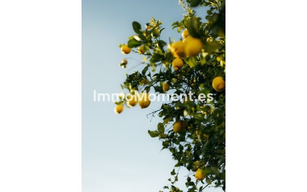 Revente - Maison mitoyenne - Estepona  - Atalaya