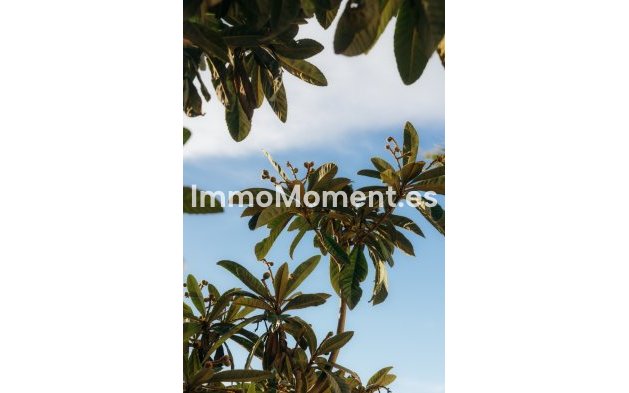 Revente - Maison mitoyenne - Estepona  - Atalaya