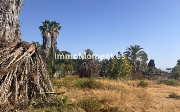 Construction neuve - Terrain - Marbella - Nagüeles