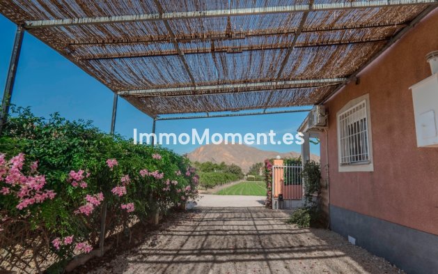 Resale - Villa - Orihuela - San Bartolomé