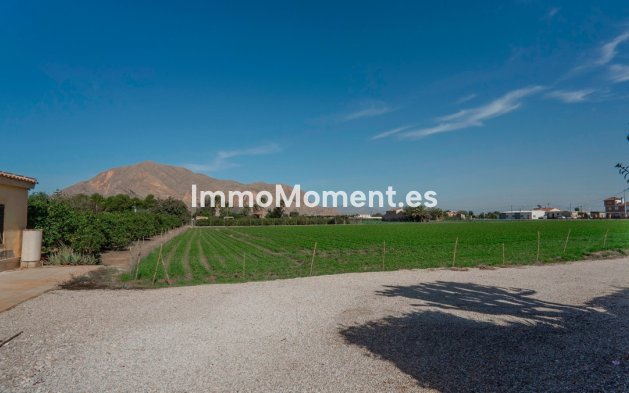 Resale - Villa - Orihuela - San Bartolomé