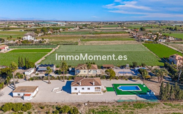 Wiederverkauf - Villa - Dolores - Dolores Centro