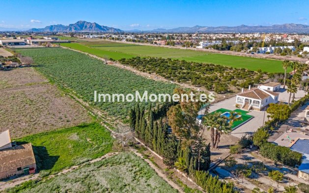 Wiederverkauf - Villa - Dolores - Dolores Centro