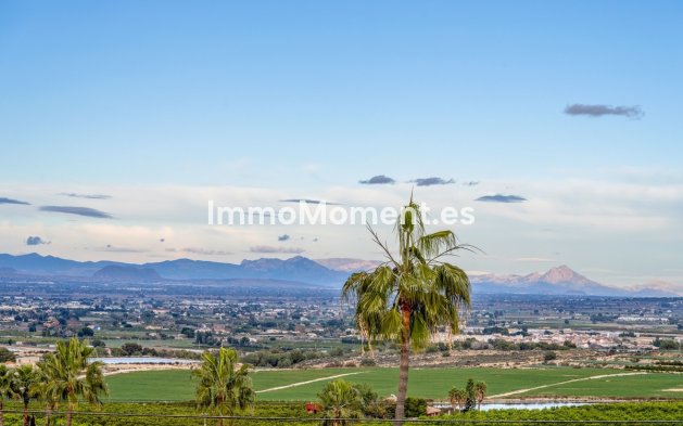 Resale - Villa - Algorfa - Algorfa Centro