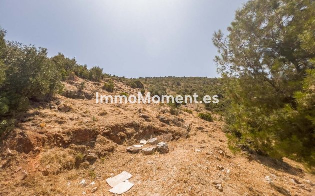Construction neuve - Terrain - Intérieur                       - Alhaurín de la Torre