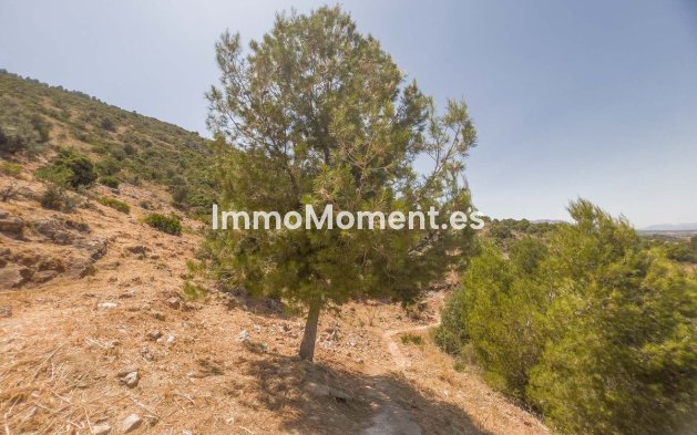 Construction neuve - Terrain - Intérieur                       - Alhaurín de la Torre