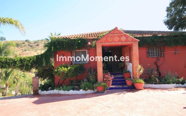 Reventa - Casa de campo - Interior  - Monda