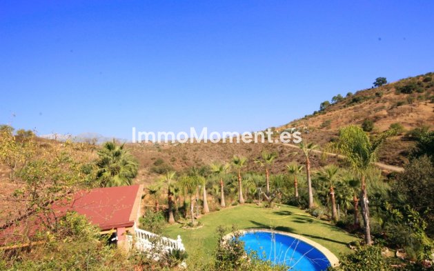 Reventa - Casa de campo - Interior  - Monda