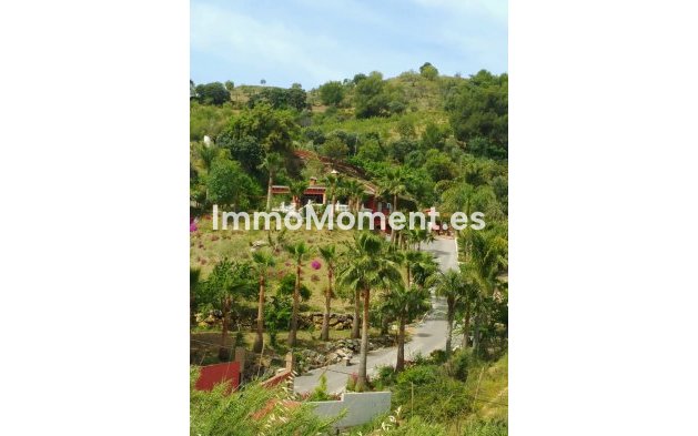 Reventa - Casa de campo - Interior  - Monda