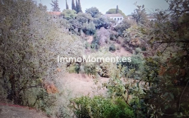 Neubau - Land - Marbella - Elviria