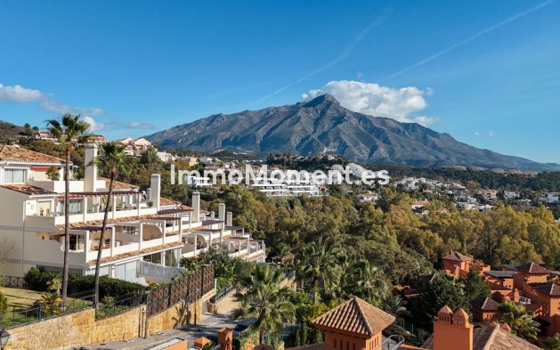 Bestaande woning - Appartement - Marbella - Nueva Andalucía