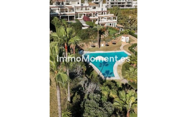 Bestaande woning - Appartement - Marbella - Nueva Andalucía
