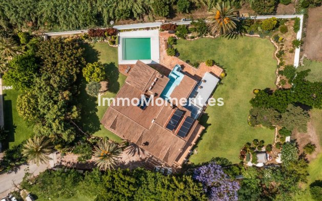 Revente - Villa - Marbella - Guadalmina Baja
