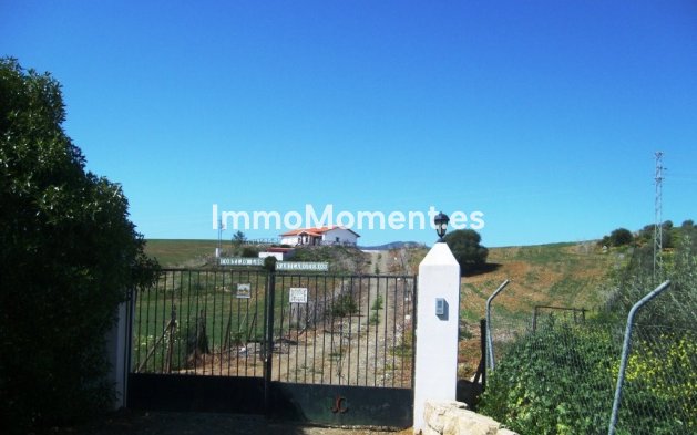 Reventa - Casa de campo - Interior  - Alora