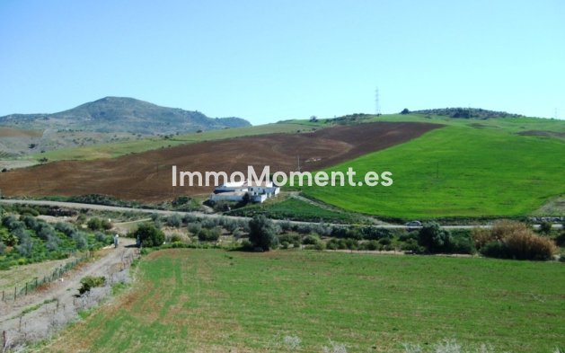 Reventa - Casa de campo - Interior  - Alora