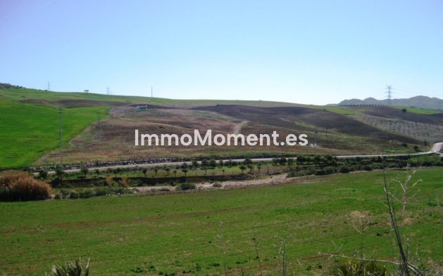 Reventa - Casa de campo - Interior  - Alora