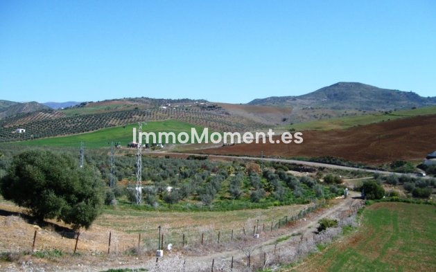 Reventa - Casa de campo - Interior  - Alora