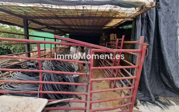 Reventa - Casa de campo - Interior  - Alhaurín de la Torre