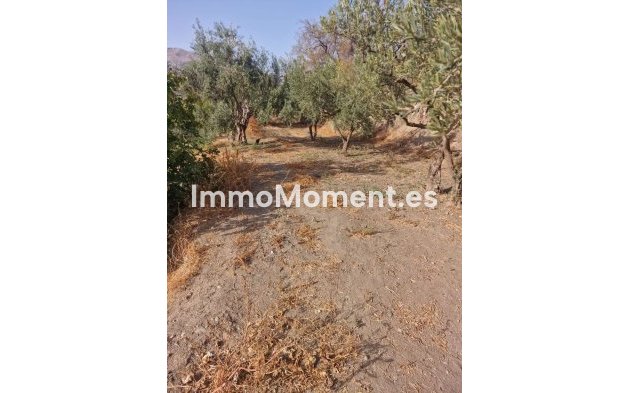 Reventa - Villa - Interior  - Alora