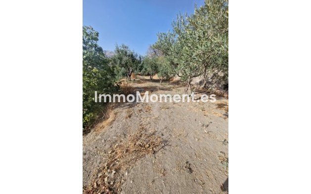 Reventa - Villa - Interior  - Alora