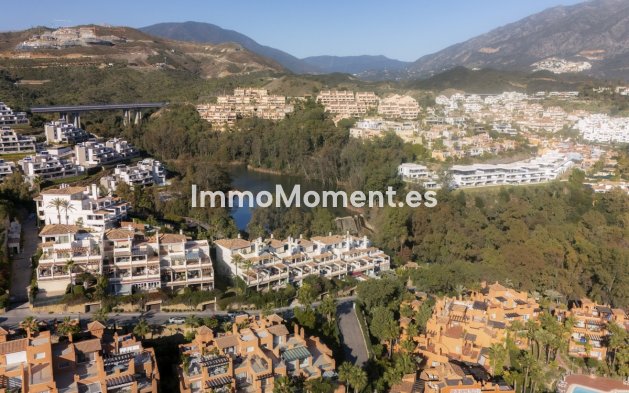 Bestaande woning - Appartement - Marbella - Nueva Andalucía