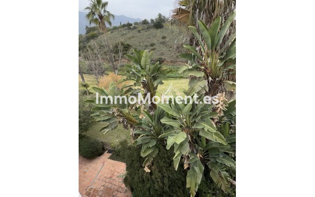 Bestaande woning - Geschakelde woning - Marbella - Marbella Centro