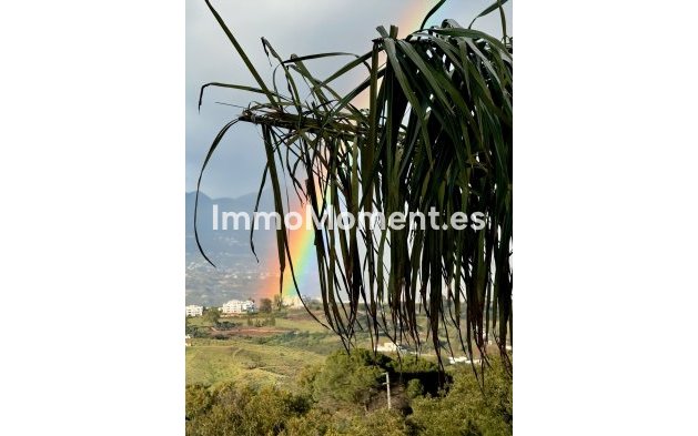 Revente - Appartement - Intérieur                       - Ojén