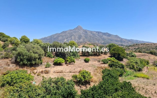 Reventa - Apartamento - Marbella - Aloha