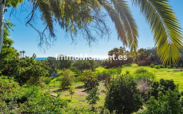 Reventa - Villa - Marbella - Nueva Andalucía