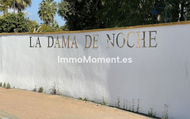 Revente - Appartement - Marbella - Nueva Andalucía