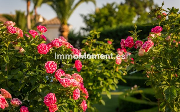 Revente - Villa - Marbella - Hacienda Las Chapas