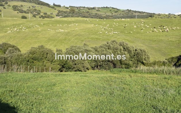 Wiederverkauf - Landhaus - Casares - Casares Centro