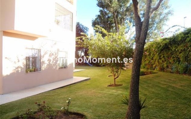 Revente - Appartement - Marbella - Nueva Andalucía