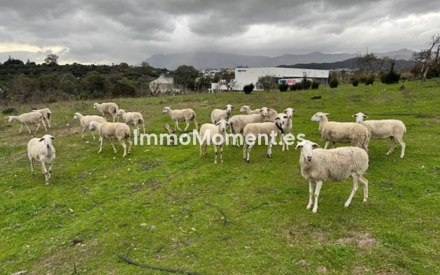 Revente - Villa - Estepona  - Estepona Centro
