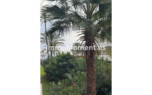 Revente - Appartement - Marbella - Marbella Centro