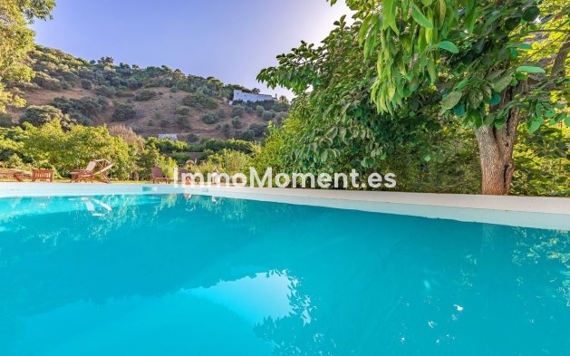 Reventa - Casa de campo - Interior  - Coín
