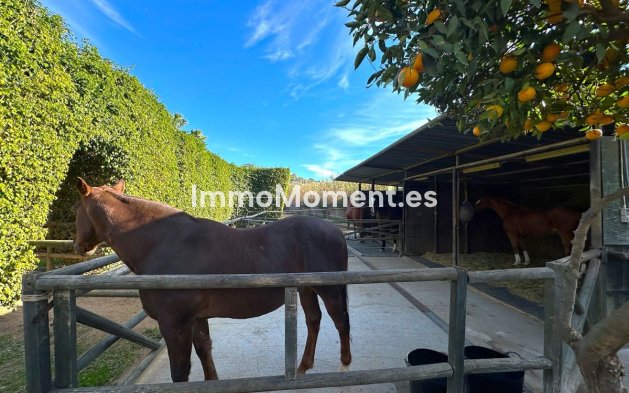 Wiederverkauf - Landhaus - Estepona  - Estepona Centro